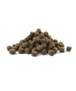 VERSELE-LAGA Opti Life Adult Digestion Medium & Maxi - 12,5 Kg -Hondenspullen Verkoop 1002x1200 1