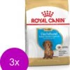 Royal Canin Bhn Dachshund Puppy - Hondenvoer - 3 X 1.5 Kg