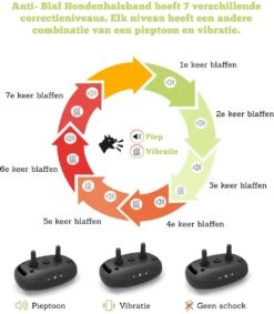 Doggie™ Anti Blafband - Diervriendelijk - GEEN Schok - Anti Blafband - Hondenhalsband 11 Doggie™ Anti Blafband - Diervriendelijk - GEEN Schok - Anti Blafband - Hondenhalsband -Hondenspullen Verkoop 1048x1200 4