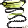 Hondenriem Hardloopriem Elastische Reflecterende Geschikt Voor Hardlopen - Handsfree Riem Met Opbergtasje – Hond Looplijn - Schokabsorberend - Groen 1 Hondenriem Hardloopriem Elastische Reflecterende Geschikt Voor Hardlopen - Handsfree Riem Met Opbergtasje – Hond Looplijn - Schokabsorberend - Groen -Hondenspullen Verkoop 1052x1200 3