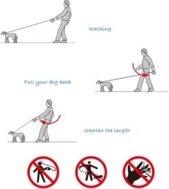 IGOODS - Uitlaatriem - Honden Riem - Katten Riem - Uitlaatriem Voor Dieren Rollijn - Hondenriem - 5 Meter Lang - Grijs -Hondenspullen Verkoop 1072x1200 2