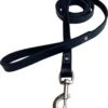 Hondenriem - 220cm – Zwarte Riem - Leren Hondenriem Met Stiksels – 100% Volnerfleer - Hond - Leer - Leder 2 Hondenriem - 220cm – Zwarte Riem - Leren Hondenriem Met Stiksels – 100% Volnerfleer - Hond - Leer - Leder -Hondenspullen Verkoop 1091x1200