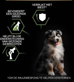 Pro Plan Healthy Start Puppy Medium - Honden Droogvoer - Kip - 12 Kg -Hondenspullen Verkoop 1095x1200