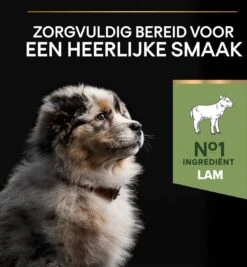 Pro Plan Medium Puppy Sensitive Digestion - Honden Droogvoer - Lam - 4 X 3 Kg 28 Pro Plan Medium Puppy Sensitive Digestion - Honden Droogvoer - Lam - 4 X 3 Kg -Hondenspullen Verkoop 1109x1200