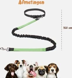 Hardloopriem Hond – Honden Riem Handsfree – Hardlopen Met Hond – 160-260 Cm Groen- Hardloopband Hond – Halsband Hond – Hondenlijn – Leiband Hond -Hondenspullen Verkoop 1124x1200 1