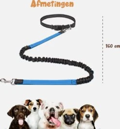 Hardloopriem Hond – Honden Riem Handsfree – Hardlopen Met Hond – 160-260 Cm Blauw - Hardloopband Hond – Halsband Hond – Hondenlijn – Leiband Hond 14 Hardloopriem Hond – Honden Riem Handsfree – Hardlopen Met Hond – 160-260 Cm Blauw - Hardloopband Hond – Halsband Hond – Hondenlijn – Leiband Hond -Hondenspullen Verkoop 1124x1200