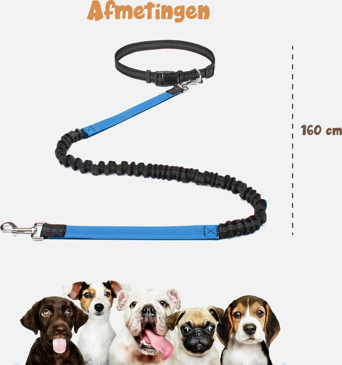 Hardloopriem Hond – Honden Riem Handsfree – Hardlopen Met Hond – 160-260 Cm Blauw - Hardloopband Hond – Halsband Hond – Hondenlijn – Leiband Hond 6 Hardloopriem Hond – Honden Riem Handsfree – Hardlopen Met Hond – 160-260 Cm Blauw - Hardloopband Hond – Halsband Hond – Hondenlijn – Leiband Hond - Afbeelding 4
