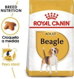 Royal Canin Beagle Adult - Hondenvoer - 12 Kg -Hondenspullen Verkoop 1125x1200 1