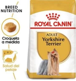 Royal Canin Yorkshire Terrier Adult - Hondenvoer - 3 Kg 17 Royal Canin Yorkshire Terrier Adult - Hondenvoer - 3 Kg -Hondenspullen Verkoop 1125x1200 5