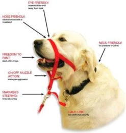 Halti Headcollar - Maat 2 -Hondenspullen Verkoop 1136x1200 3