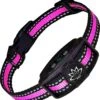 Premium Anti Blafband Om Je Hond Snel En Effectief Te Laten Stoppen Met Blaffen - Diervriendelijke Opvoedingshalsband Zonder Schok - Trainingshalsband Voor Grote En Kleine Honden - Anti Blaf Apparaat - Correctie Halsband -Hondenspullen Verkoop 1138x1200