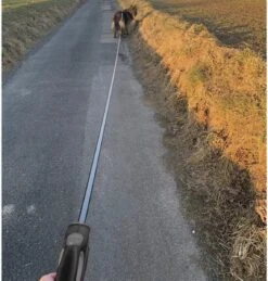 Hondenriem-Looplijn-Zwart/Grijs-8 Meter Oprol-Hond Lijn-Automatisch Rollijn -Hondenspullen Verkoop 1144x1200 2