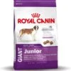 Royal Canin Giant Junior 15 KG 1 Royal Canin Giant Junior 15 KG -Hondenspullen Verkoop 1145x1200