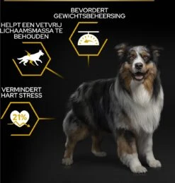 Pro Plan All Sizes Adult Light/Sterilised - Honden Droogvoer - Kip- 3 Kg 29 Pro Plan All Sizes Adult Light/Sterilised - Honden Droogvoer - Kip- 3 Kg -Hondenspullen Verkoop 1146x1200 2