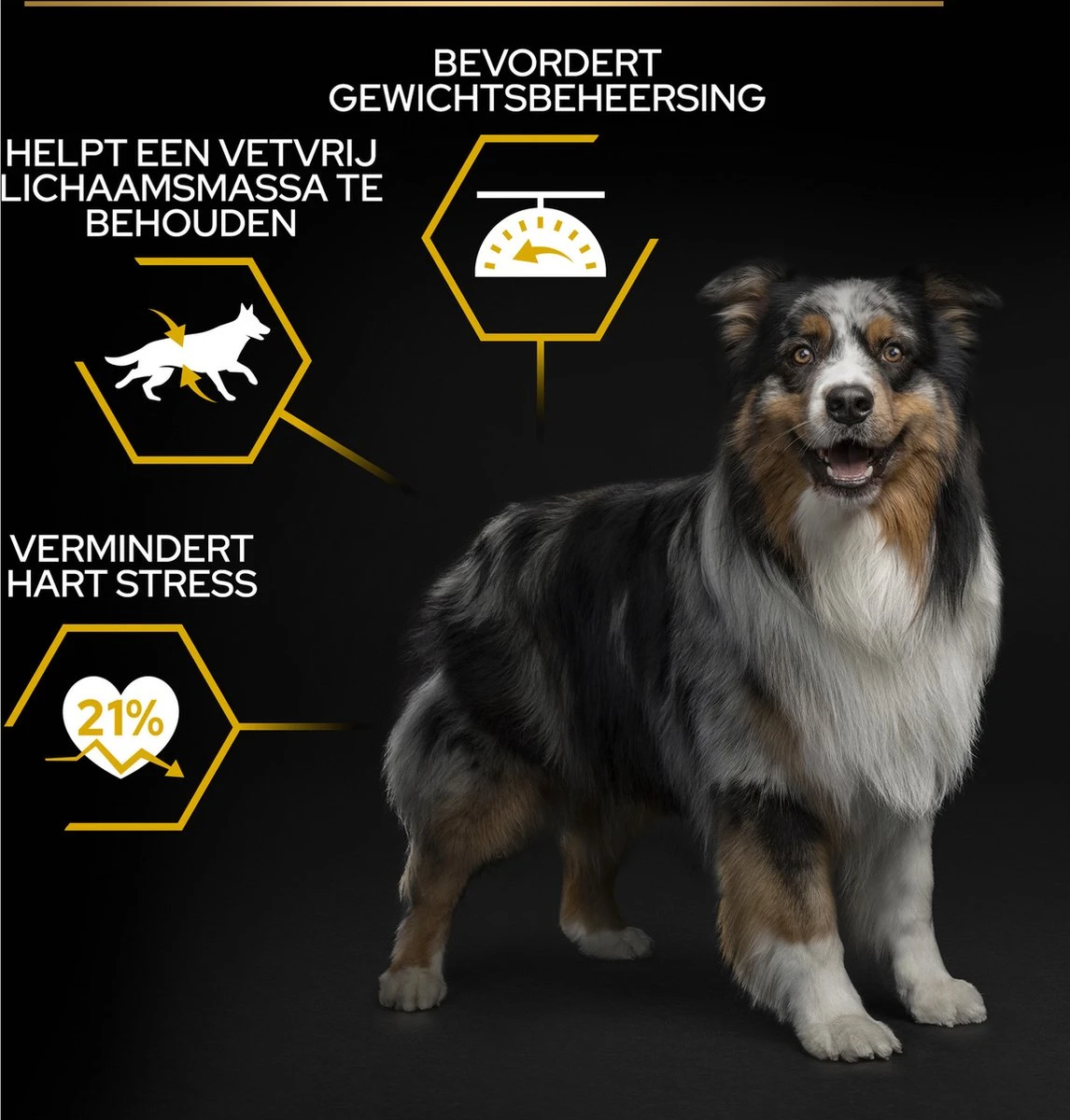 Pro Plan All Sizes Adult Light/Sterilised - Honden Droogvoer - Kip- 3 Kg 14 Pro Plan All Sizes Adult Light/Sterilised - Honden Droogvoer - Kip- 3 Kg - Afbeelding 12