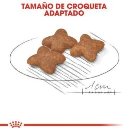 Royal Canin Mini Adult 8 KG -Hondenspullen Verkoop 1149x1200 2