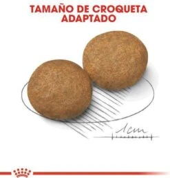 Royal Canin Medium Adult 15 KG -Hondenspullen Verkoop 1149x1200