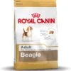 Royal Canin Beagle Adult - Hondenvoer - 12 Kg 1 Royal Canin Beagle Adult - Hondenvoer - 12 Kg -Hondenspullen Verkoop 1150x1200 1