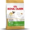 Royal Canin Mopshond/Pug Adult - Hondenvoer - 3 Kg 2 Royal Canin Mopshond/Pug Adult - Hondenvoer - 3 Kg -Hondenspullen Verkoop 1150x1200 4