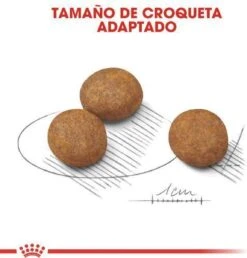 Royal Canin Maxi Puppy 4 KG -Hondenspullen Verkoop 1151x1200 1