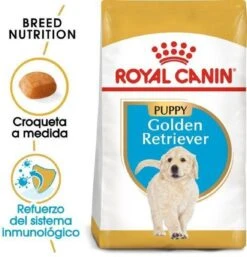 Royal Canin Golden Retriever Junior 12 KG -Hondenspullen Verkoop 1153x1200 1