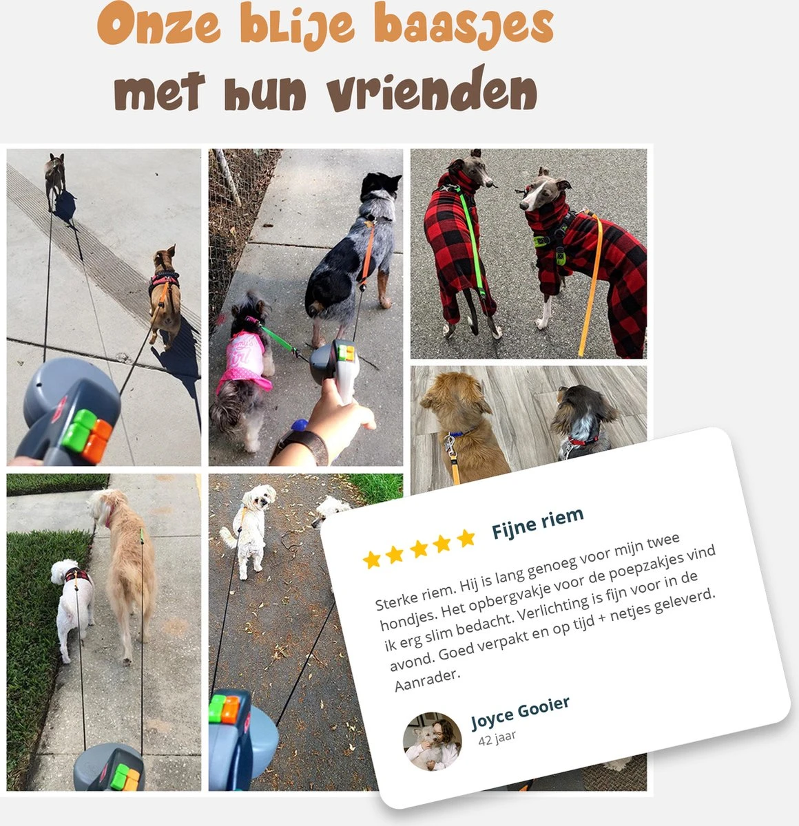 Dubbele Honden Riem – Leiband Hond – Hondenlijn – Looplijn Hond – 2 Honden – 3 Meter – Tot 12kg Per Hond – Reflecterende Lijnen – Met Zaklamp – 360° Draaien – Verstelbaar - Navy Blauw 4 Dubbele Honden Riem – Leiband Hond – Hondenlijn – Looplijn Hond – 2 Honden – 3 Meter – Tot 12kg Per Hond – Reflecterende Lijnen – Met Zaklamp – 360° Draaien – Verstelbaar - Navy Blauw - Afbeelding 2