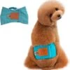 Merkloos Hondenluier Voor Kleine Hond - Luier Voor Reu - Buikband Maat S 27 Cm X 25 Cm 1 Merkloos Hondenluier Voor Kleine Hond - Luier Voor Reu - Buikband Maat S 27 Cm X 25 Cm -Hondenspullen Verkoop 1164x1200 6