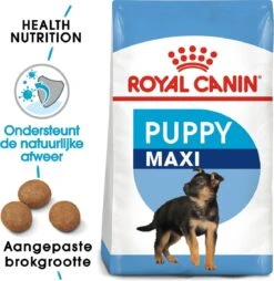 Royal Canin Maxi Puppy 4 KG -Hondenspullen Verkoop 1167x1200 1