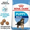 Royal Canin Maxi Junior - Hondenvoer - 10 Kg 2 Royal Canin Maxi Junior - Hondenvoer - 10 Kg -Hondenspullen Verkoop 1169x1200 1