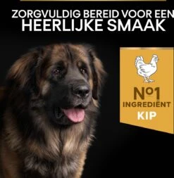 Pro Plan Everyday Nutrition Large Robust Adult - Honden Droogvoer - Kip - 14 Kg -Hondenspullen Verkoop 1171x1200 2