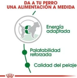 Royal Canin Mini Adult 8 KG -Hondenspullen Verkoop 1177x1200 1