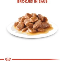 Royal Canin Shn Mini Ageing 12plus Pouch - Hondenvoer - 12x85 G -Hondenspullen Verkoop 1177x1200 4