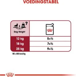 Royal Canin Shn Medium Adult Pouch - Hondenvoer - 10 X 140 G 16 Royal Canin Shn Medium Adult Pouch - Hondenvoer - 10 X 140 G -Hondenspullen Verkoop 1179x1200 7