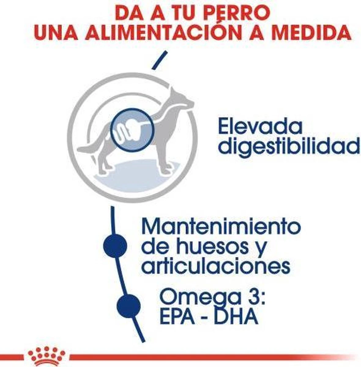 Royal Canin Maxi Adult 15 KG 9 Royal Canin Maxi Adult 15 KG - Afbeelding 7