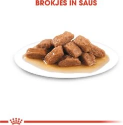 Royal Canin Shn Medium Adult Pouch - Hondenvoer - 10 X 140 G 13 Royal Canin Shn Medium Adult Pouch - Hondenvoer - 10 X 140 G -Hondenspullen Verkoop 1180x1200 7