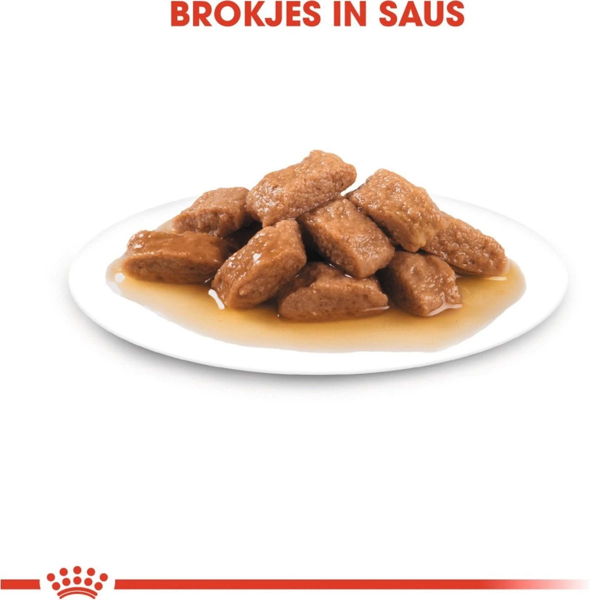 Royal Canin Shn Medium Adult Pouch - Hondenvoer - 10 X 140 G 4 Royal Canin Shn Medium Adult Pouch - Hondenvoer - 10 X 140 G - Afbeelding 3