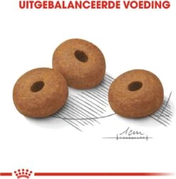 Royal Canin Light Weight Care Maxi - Hondenvoer - 12 Kg 15 Royal Canin Light Weight Care Maxi - Hondenvoer - 12 Kg -Hondenspullen Verkoop 1181x1200