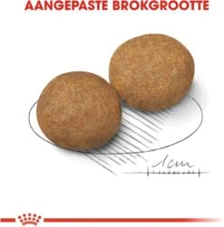 Royal Canin Medium Adult 15 KG -Hondenspullen Verkoop 1182x1200