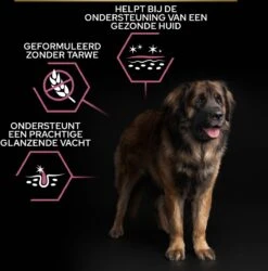 Pro Plan Large Robust Adult Sensitive Skin - Honden Droogvoer - Zalm - 14 Kg -Hondenspullen Verkoop 1184x1200 1