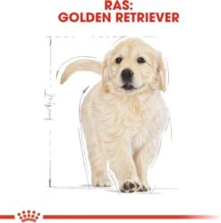 Royal Canin Golden Retriever Junior 12 KG -Hondenspullen Verkoop 1184x1200 2
