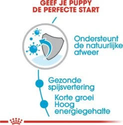 Royal Canin Shn Medium Puppy Pouch - Hondenvoer - 10 X 140 G -Hondenspullen Verkoop 1184x1200 5