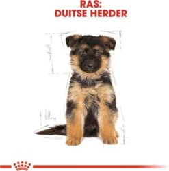 Royal Canin German Shepherd Puppy - Hondenvoer - 12 Kg -Hondenspullen Verkoop 1185x1200