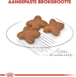 Royal Canin Mini Adult 8 KG -Hondenspullen Verkoop 1185x1200 3