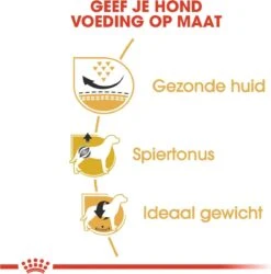 Royal Canin Mopshond/Pug Adult - Hondenvoer - 3 Kg -Hondenspullen Verkoop 1185x1200 4