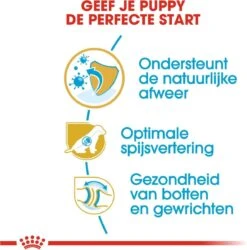 Royal Canin German Shepherd Puppy - Hondenvoer - 12 Kg -Hondenspullen Verkoop 1186x1200 1