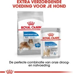 Royal Canin Light Weight Care Maxi - Hondenvoer - 12 Kg 22 Royal Canin Light Weight Care Maxi - Hondenvoer - 12 Kg -Hondenspullen Verkoop 1186x1200