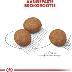 Royal Canin Maxi Puppy 4 KG -Hondenspullen Verkoop 1186x1200 3