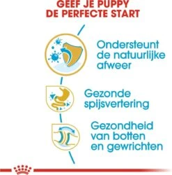 Royal Canin Bulldog - Puppy-Hondenvoer - 12 Kg 12 Royal Canin Bulldog - Puppy-Hondenvoer - 12 Kg -Hondenspullen Verkoop 1186x1200 5