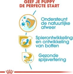 Royal Canin Rottweiler Junior 12 KG -Hondenspullen Verkoop 1186x1200 8