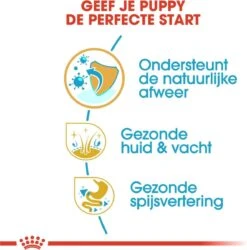 Royal Canin Golden Retriever Junior 12 KG -Hondenspullen Verkoop 1186x1200 9